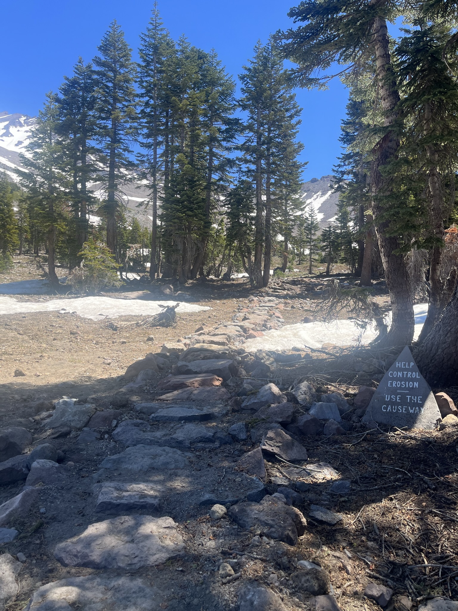 Horse Camp Trail Mount Shasta Avalanche Center
